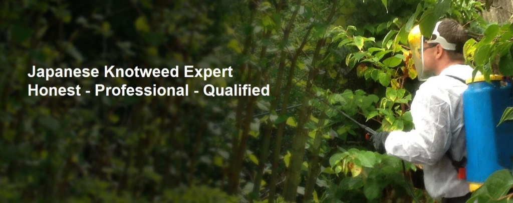 Japanese Knotweed Treatment in Leeds Japanese Knotweed Treatment in Leeds