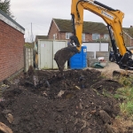 Excavation of Japanese Knotweed for a Construction Company