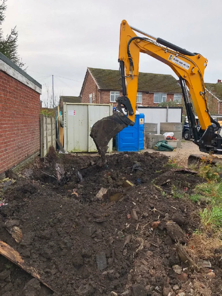 Excavation of Japanese Knotweed