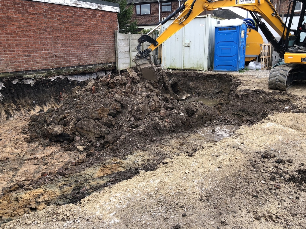 Excavation of Japanese Knotweed for NRS