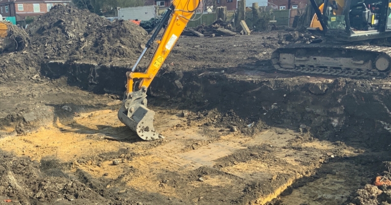 Commercial Removal of Japanese Knotweed