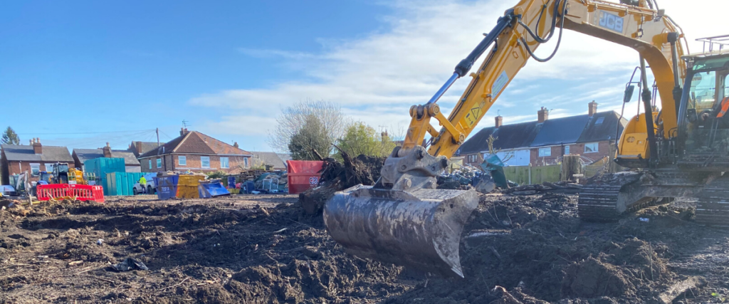 Excavation knotweed