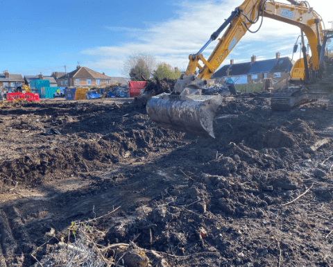 Knotweed Removal