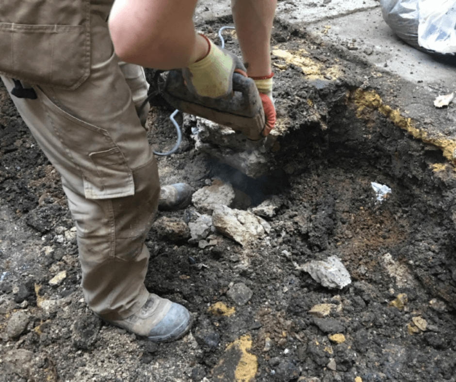 excavation of japanese knotweed