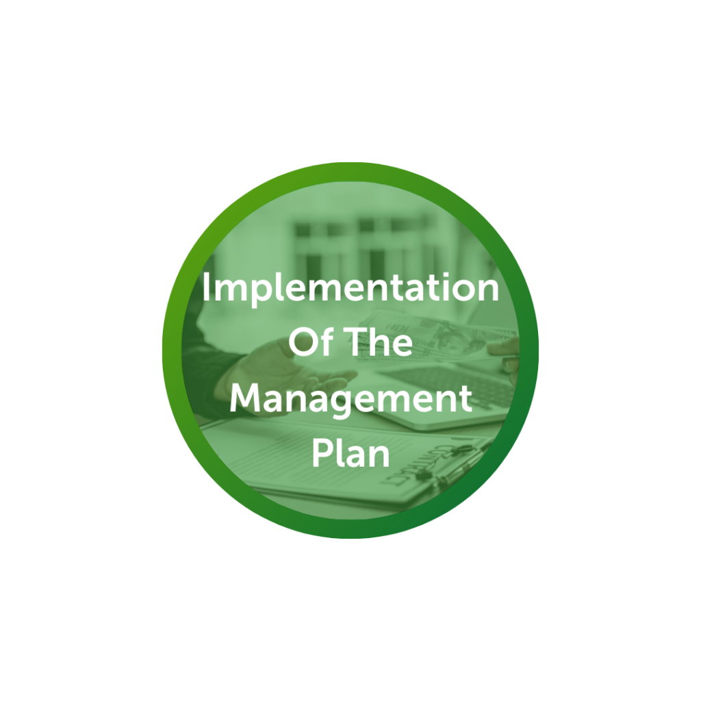implementation of the management plan