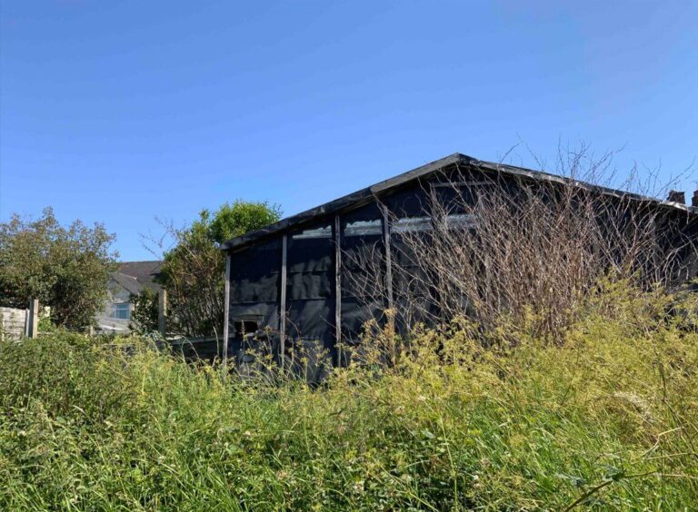 Japanese Knotweed Stoke-On-Trent