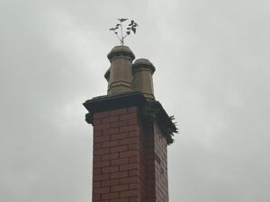 Damage caused by plants - Japanese Knotweed Expert - Japanese Knotweed Removal and Eradication Damage caused by plants